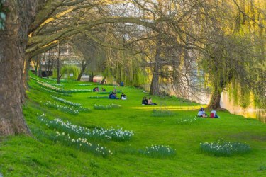 Small groups of people sitting at the green bank of a river.