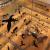 MUSE - Museo delle Scienze, Trento, Ecsite Annual conference 2015, science centres