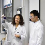 Institute of Materials Science of Barcelona (ICMAB-CSIC) (Barcelona, Spain)