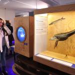 Water the exhibition