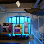 Water the exhibition