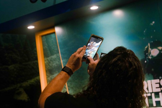 photo of Mysteries from the Deep