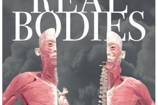 Real Bodies