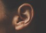 Human ear - Photo Samuel Dixon (cropped)